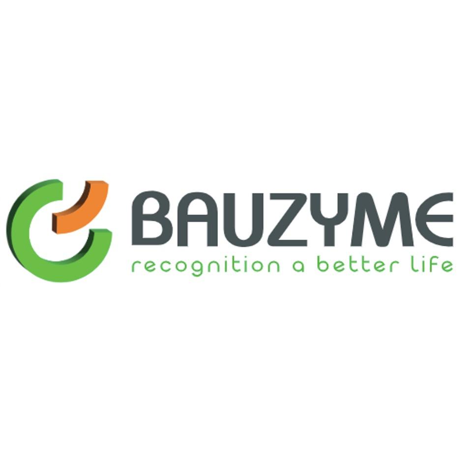 Bauzyme